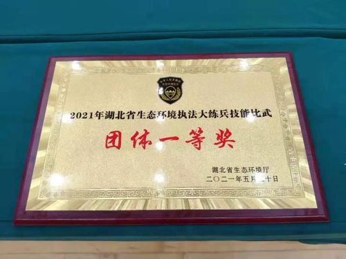 全省第一名 武漢獲得環境執法大練兵技能比武 大滿貫