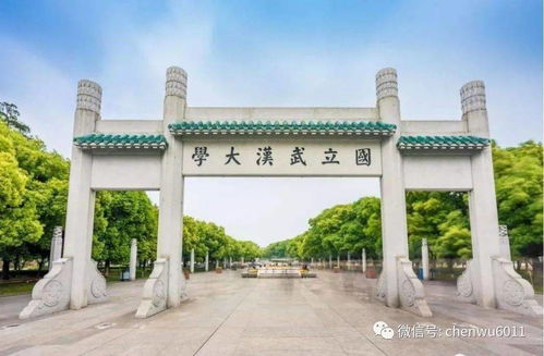武漢大學就業報告 選擇考公務員 選調生等人數大幅增加