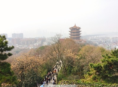 武漢黃鶴樓圖片