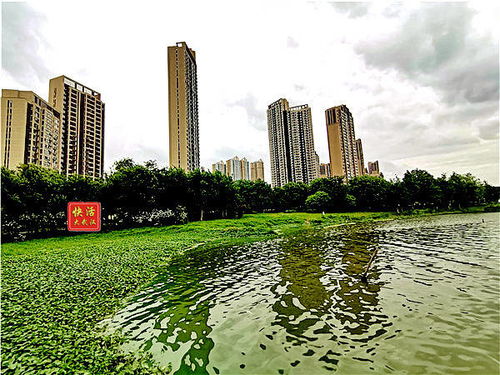 武漢墨水湖公園是市區(qū)內(nèi)最親民的大湖公園 20圖