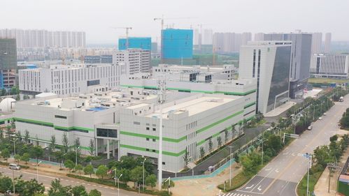 新聞動(dòng)態(tài)