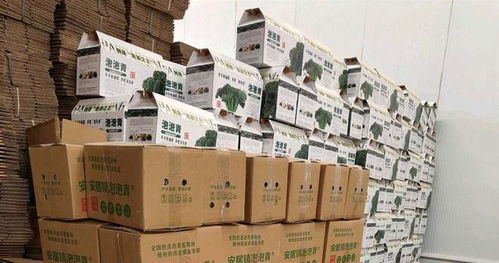 年貨寄遞進入高峰,湖北順豐件量增幅超兩成